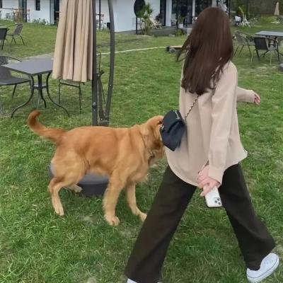 摩洛哥机智生活